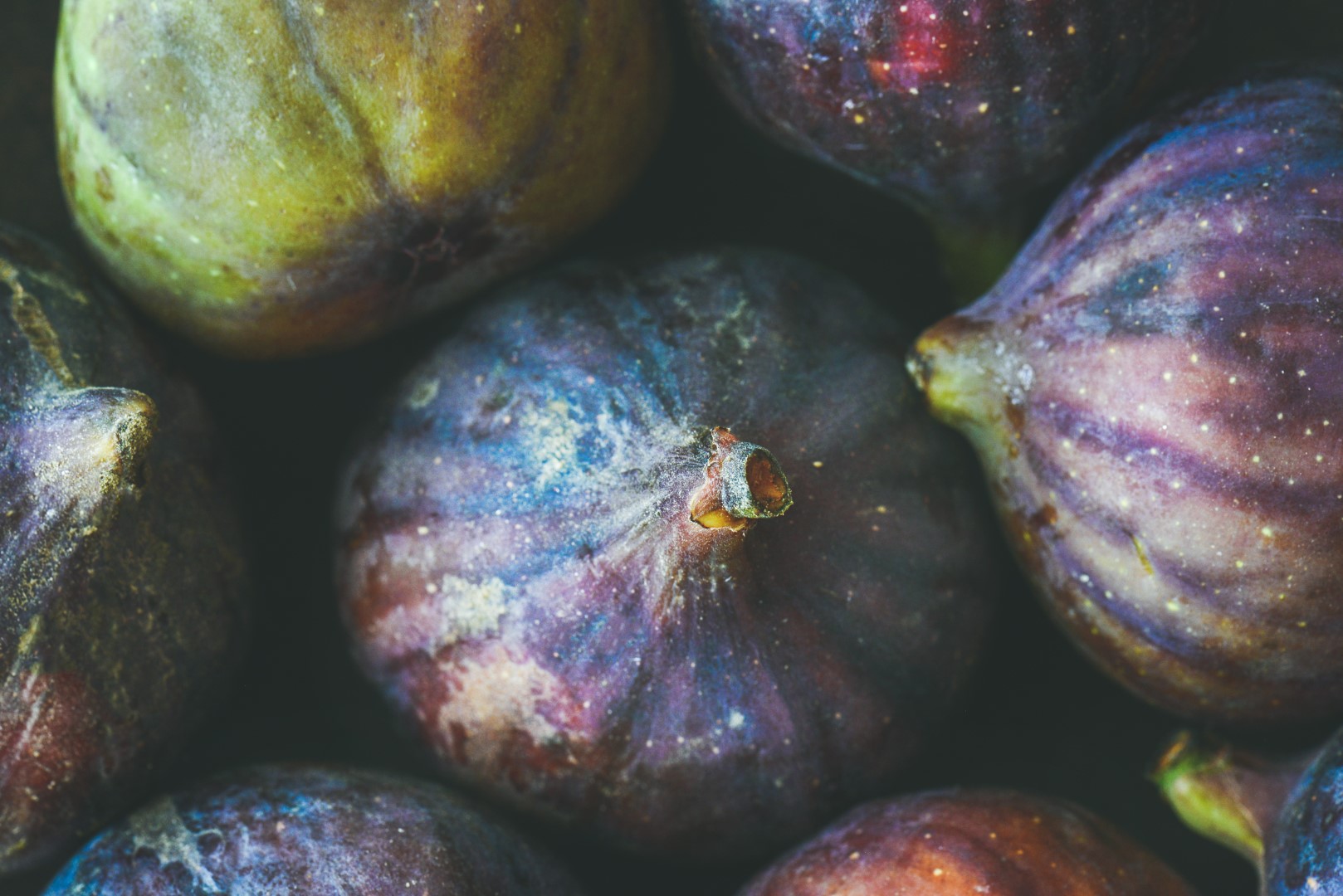 close up of fresh ripe seasonal purple figs top PSK36QF Grand